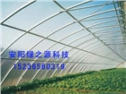 安陽綠之源專業(yè)建設(shè)溫室工程