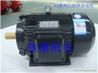 Y2系列三相異步電機