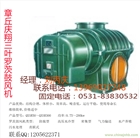 章丘鳳翔三葉鼓風(fēng)機(jī)密集型直聯(lián)式