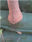 生態(tài)袋護(hù)坡  邊坡防護(hù)綠化   生態(tài)袋研發(fā)生產(chǎn)銷售