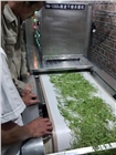 微波茶葉殺青設(shè)備