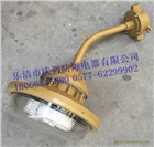 免維護(hù)無(wú)極燈 SBF6102-YQL40三防節(jié)能燈40W