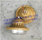 供應(yīng)SBF6103防水防塵防腐工廠燈40W50W三防無(wú)極燈