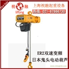日本KITO鬼頭電動葫蘆|化工KITO電動葫蘆|一臺發貨