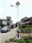 湖南路燈廠家湖南專業(yè)路燈廠家華容縣太陽能路燈批發(fā)