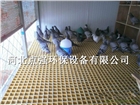 養殖排糞地板玻璃鋼格柵-隆化格柵廠家-點強