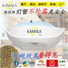 粘捕式滅蠅燈 餐廳 酒店 商場 食品工廠滅蚊蠅專用