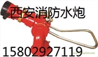 固定式消防水炮型號PS50-80流量可調陜西手動消防水炮