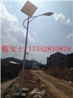 衡山衡東太陽能路燈生產廠家/衡東太陽能路燈廠家在哪里