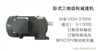 東本DCG電機0.1KW0.2KW.04KW0.75KW