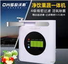 果蔬消毒機四級家用果蔬臭氧解毒機會銷禮品廠家批發