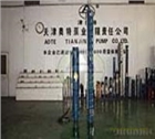 洗浴中心供應(yīng)不銹鋼熱水潛水泵_耐腐蝕_質(zhì)量好_廠家生產(chǎn)