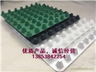 聚乙烯排水板，塑料排水板，復合排水板，泰安澤瑞建材