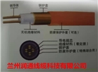 甘肅礦物電纜BTTZ現貨銷售