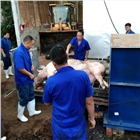 動物焚燒爐環保爐無害化醫療垃圾焚燒養殖屠宰動物尸體焚燒爐