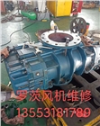 屠宰污水，生活污水，沼氣工程，脫硫工程，魚塘增氧