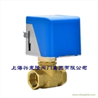 電動二通閥AC220V